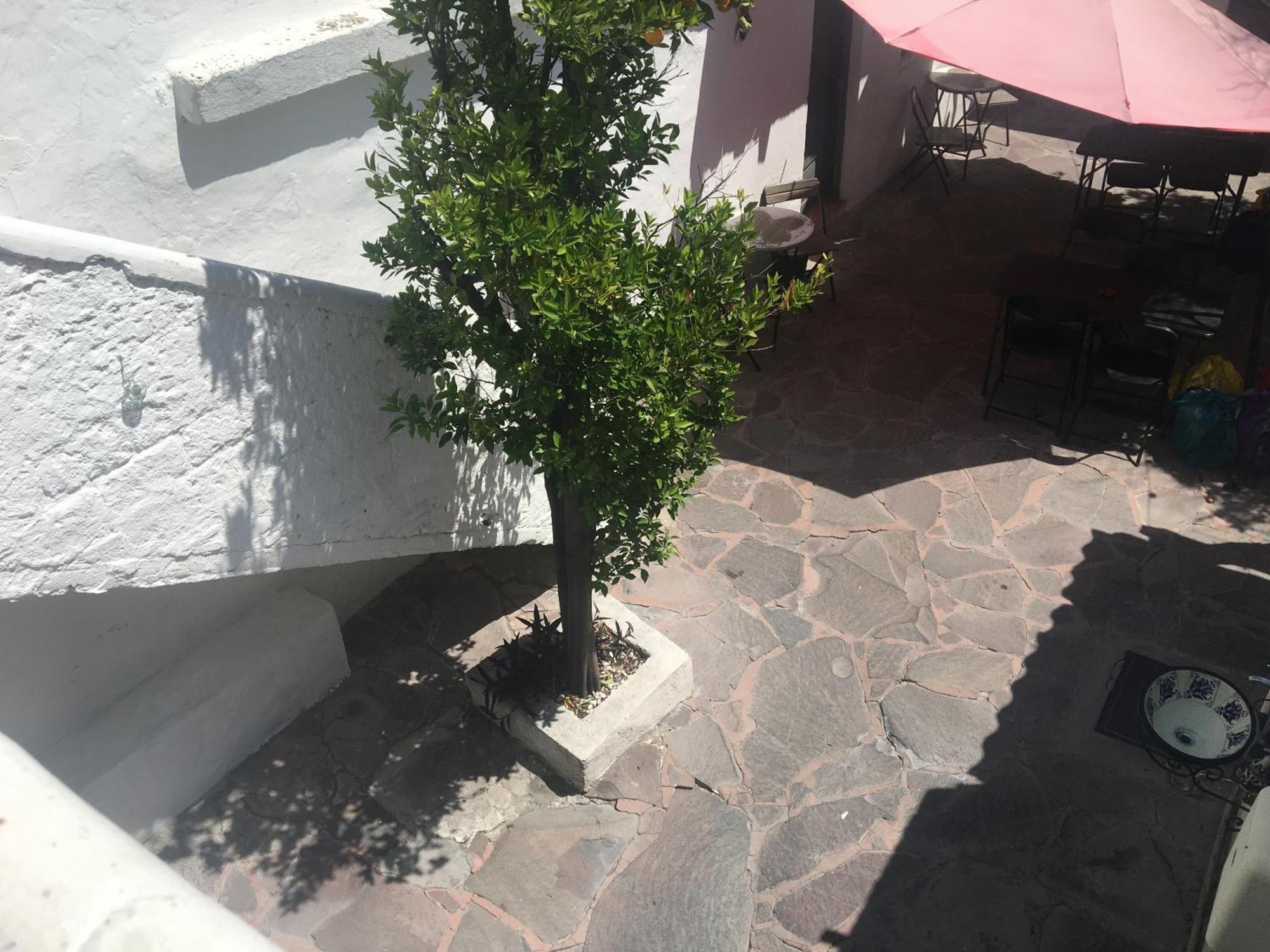 Patio Alojamiento San Miguel de Allende Bagian luar foto